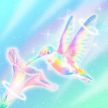 Butterfly Art